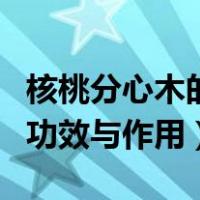 核桃分心木的功效与作用视频（核桃分心木的功效与作用）