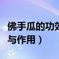 佛手瓜的功效与作用吃法大全（佛手瓜的功效与作用）
