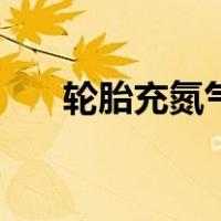 轮胎充氮气好吗（轮胎充氮气的好处）