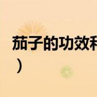 茄子的功效和禁忌（茄子的功效与作用及禁忌）