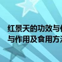 红景天的功效与作用点的功效与作用及禁忌（红景天的功效与作用及食用方法 红景天的副作用）