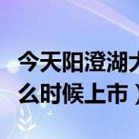 今天阳澄湖大闸蟹哪天上市（阳澄湖大闸蟹什么时候上市）