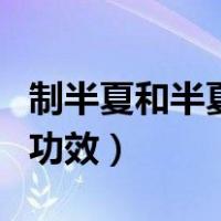 制半夏和半夏的功效与作用（制半夏的作用与功效）