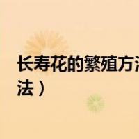 长寿花的繁殖方法及盆花的栽培管理要点（长寿花的繁殖方法）