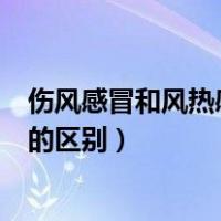 伤风感冒和风热感冒的区别吃什么药（伤风感冒和风热感冒的区别）