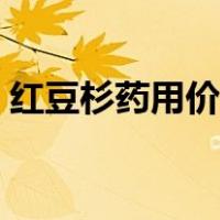 红豆杉药用价值与用法（红豆杉的药用价值）