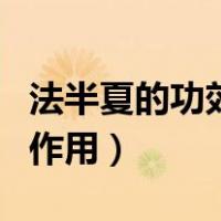 法半夏的功效与作用及用量（法半夏的功效与作用）