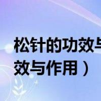 松针的功效与作用 松针的8大功效（松针的功效与作用）