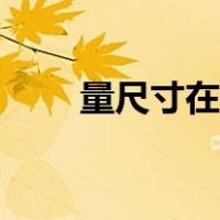 量尺寸在线测量（在线尺子测量寸）