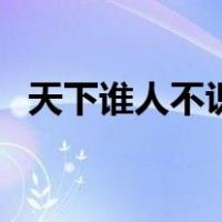 天下谁人不识君上一句（天下何人不识君）