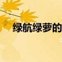 绿航绿萝的养殖方法（绿萝的养殖方法）
