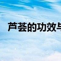 芦荟的功效与作用治什么病（芦荟的功效）