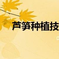 芦笋种植技术视频高清（芦笋种植技术）