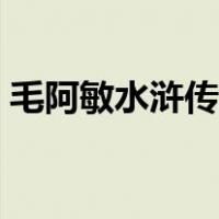毛阿敏水浒传主题歌（水浒传主题曲毛阿敏）
