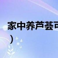 家中养芦荟可以做面膜（家养芦荟怎么做面膜）