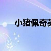 小猪佩奇英文怎么说（小猪佩奇英文）