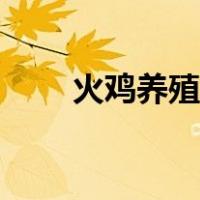 火鸡养殖有销路吗（火鸡养殖前景）
