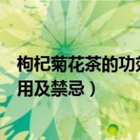 枸杞菊花茶的功效与作用及禁忌症（枸杞菊花茶的功效与作用及禁忌）