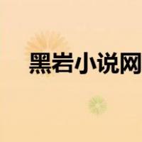 黑岩小说网我的老千生涯（黑岩小说网）