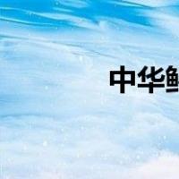 中华鲟能吃不（中华鲟能吃）