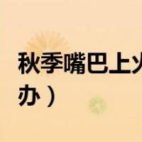 秋季嘴巴上火起泡怎么办（嘴巴上火起泡怎么办）
