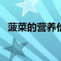 菠菜的营养价值及功效（菠菜的营养价值）