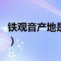 铁观音产地是哪里的茶叶（铁观音产地是哪里）