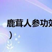 鹿茸人参功效和作用（人参鹿茸的功效与作用）
