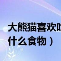大熊猫喜欢吃什么食物和动物（大熊猫喜欢吃什么食物）