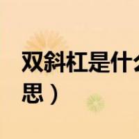 双斜杠是什么意思C语言里（双斜杠是什么意思）