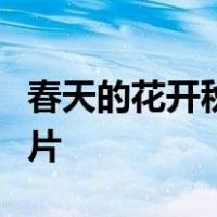 春天的花开秋天的风以及冬天的落阳的唯美图片