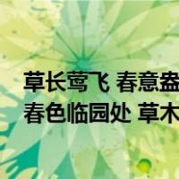 草长莺飞 春意盎然（草长莺飞四月天 偷的浮生半日闲 一袭春色临园处 草木深深人逊色）