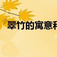翠竹的寓意和象征意义（翠竹的象征意义）