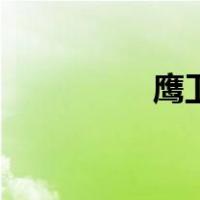 鹰卫浴怎么样（鹰卫浴）