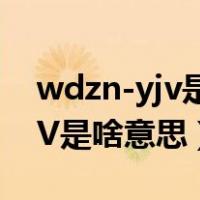 wdzn-yjv是什么电缆线（电力电缆WDZ YJV是啥意思）
