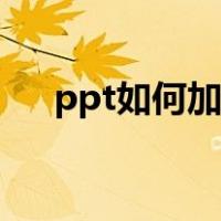 ppt如何加水印文字（ppt如何加水印）