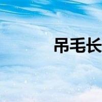 吊毛长了可以剪掉些吗（吊毛）