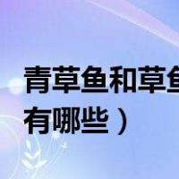 青草鱼和草鱼有什么区别（青鱼和草鱼的区别有哪些）