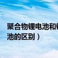 聚合物锂电池和锂电池的区别在哪里（聚合物锂电池和锂电池的区别）