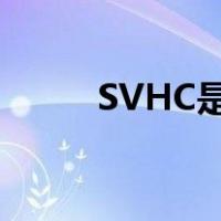 SVHC是什么（svhc是什么意思）