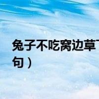 兔子不吃窝边草下一句话是什么生肖（兔子不吃窝边草下一句）