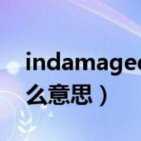 indamaged（FortheDamagedCoda是什么意思）