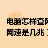 电脑怎样查网速是多少兆的（怎么查看电脑的网速是几兆）