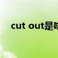 cut out是啥意思（cut out是什么意思）