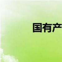 国有产权登记证（产权登记证）