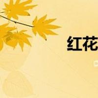 红花红颜歌词（红花红颜）