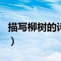 描写柳树的诗句二年级下册（描写柳树的诗句）
