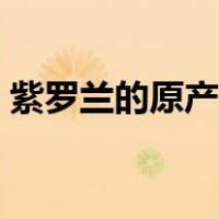紫罗兰的原产地在哪个洲（紫罗兰的原产地）