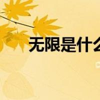 无限是什么意思（无限流是什么意思）
