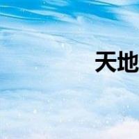 天地何用歌词（天地何用）